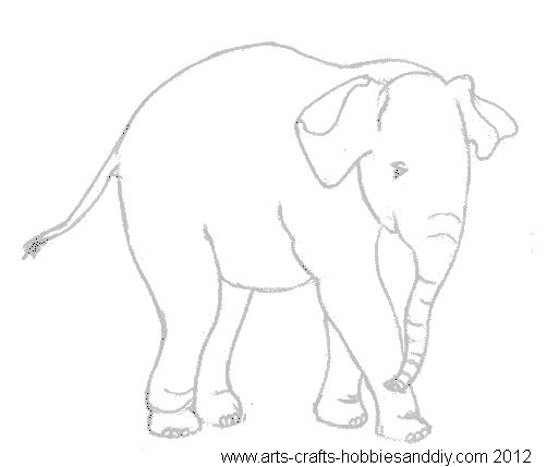Standing baby elephant