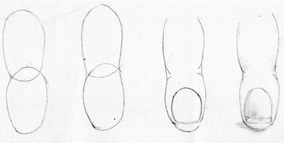 How to draw toes. A step by step guide for beginners.