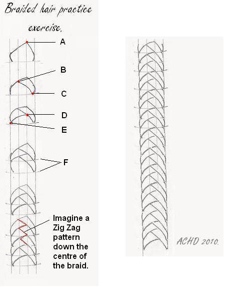 A step by step guide on drawing braided hair