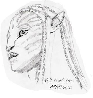 Avatar Na'Vi female with braided hair example