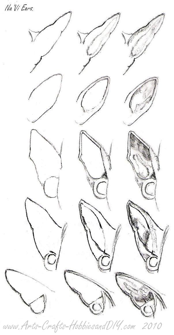 How to draw Elven and pixie ears. Drawing Na'vi characters.