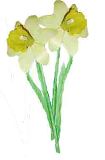  Create your own life like model of a daffodil