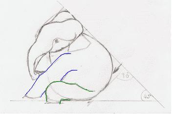 Seated Baby Elephant in river outline