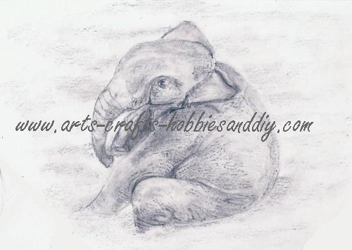 Seated-Baby-Elephant-in-River-completed-drawing