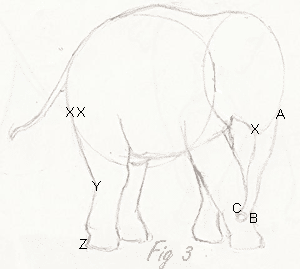How to draw a baby elephant fig 3