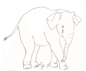 Standing baby elephant outline. Click on this image to get a free template