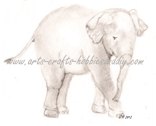 Baby elephant sketch