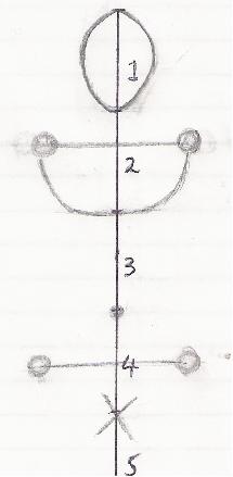  Setting out the female body proportions 4