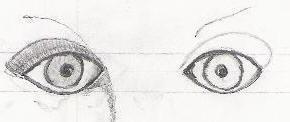 Basic facial detail. How to draw basic eyes