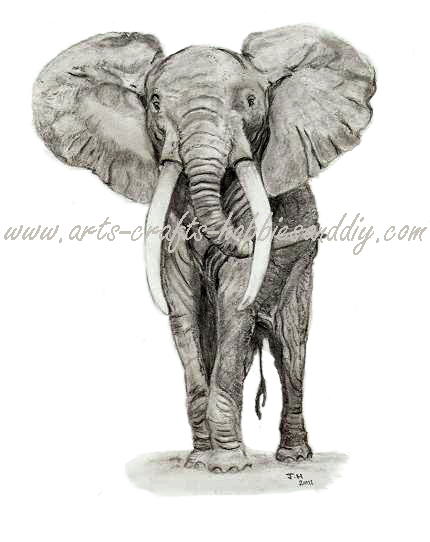 How to draw an Elephant. Graphite Elephant portrait.