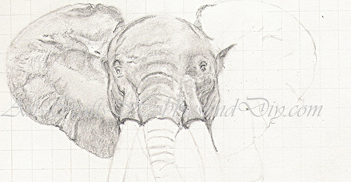 Elephant_sketch_close_up