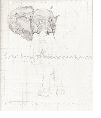Elephant-picture-with-grid