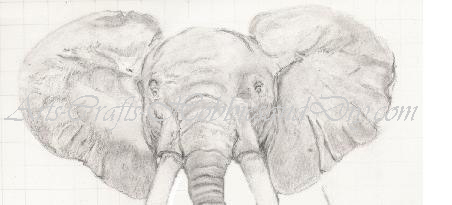 How to draw an Elephant. The Elephants-head