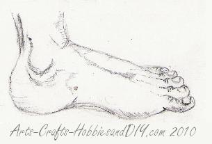How to draw feet. Foot from side sketch 1b.